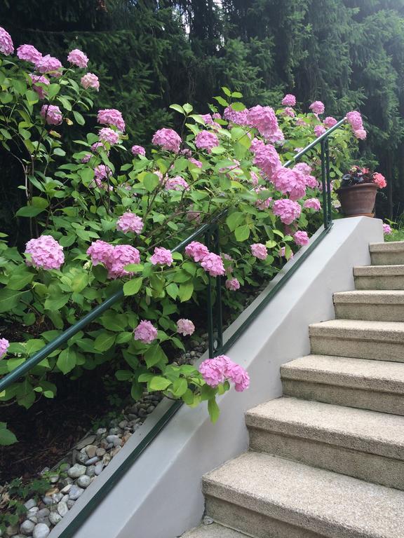 Exquisites Gartenapartment in eleganter Jugendstilvilla Wien Exterior foto
